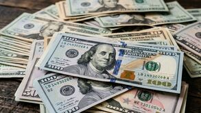 Dólares estadunidenses
