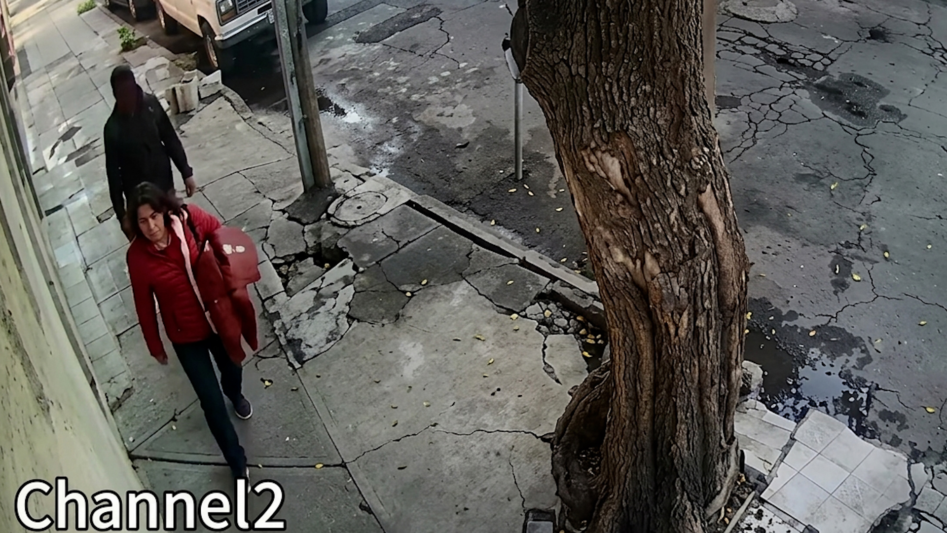 Ana Rosa Villagrán denuncia que el sujeto la asechó durante un par de calles. Los hechos quedaron captados en cámaras de seguridad de domicilios cercanos.