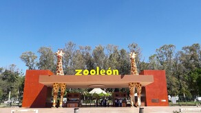 El secretario del Ayuntamiento explica las razones del cierre temporal del Zoológico de León, así mismo asegura que todo está en regla para evitar sanciones.