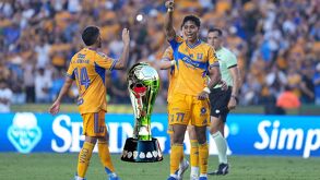 Los felinos avanzaron a Liguilla en la presente temporada de la Liga MX, aunque no en una posición tan favorable como acostumbran hacerlo.