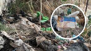 Identificaciones de una estudiante de Agronomía y un transportista son halladas en la fosa de El Salto. Colectivo denuncia abandono de las autoridades. Leer más