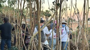 El colectivo Madres Buscadoras de Jalisco localizó al menos cinco cuerpos en una fosa clandestina en El Salto. Detalles del hallazgo y evidencias encontradas.