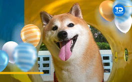 Aquí te diremos por qué se celebra el Día Mundial del Perro el 21 de julio.