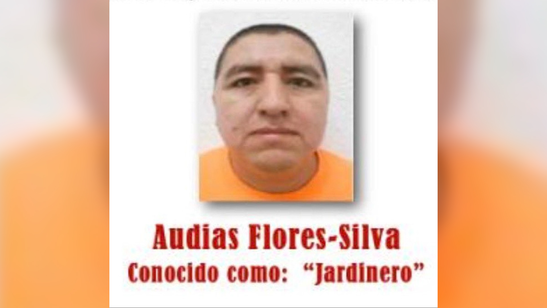 La Marina capturó en Nayarit a Audias Flores Silva, 