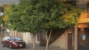 Vecinos desesperados por falta de agua y luz en colonia de Torreón.