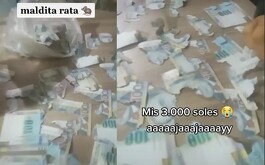 “Maldita rata, mis 3 mil soles, ahh ayy”, se lee en la descripción del clip.