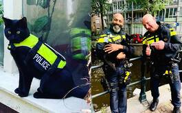 Nimis, el gatito policía