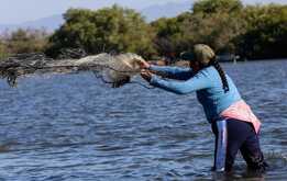 En México, 40 por ciento de la pesca es de procedencia ilegal.