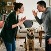 Pareja discutiendo y mascota triste