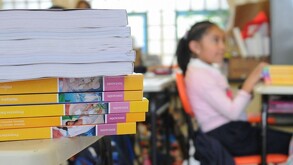 Se observa una niña desenfocada y unos libros; dentro de un salón de clases.