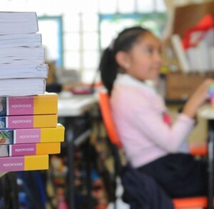 Se observa una niña desenfocada y unos libros; dentro de un salón de clases.