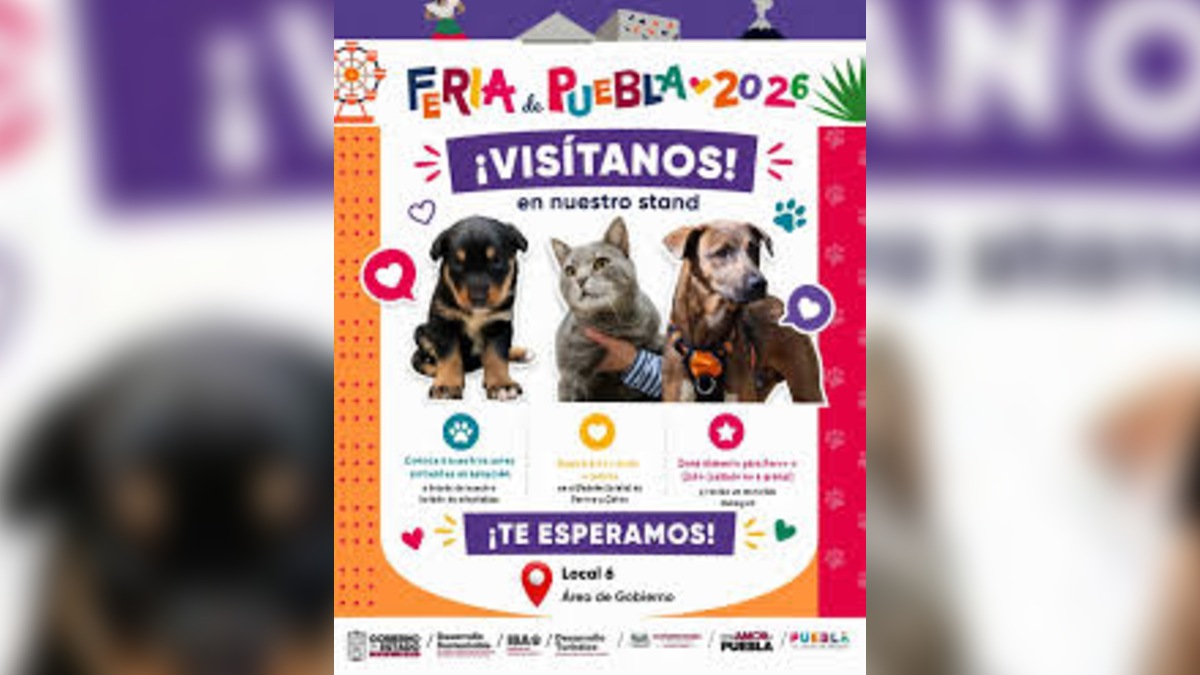 Infografía sobre las actividades relacionadas a mascotas en la Feria de Puebla