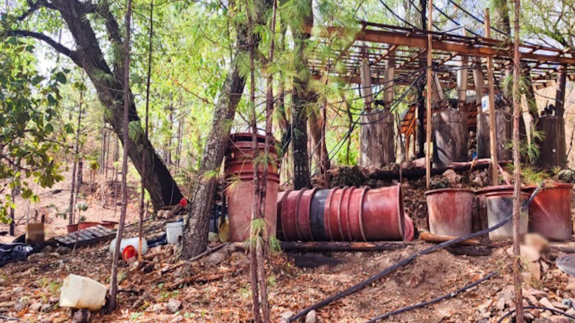 Agentes de EU participaron en un operativo en Chihuahua contra la producción de drogas. Autoridades revelaron las imágenes de cómo lucía el narcolaboratorio.