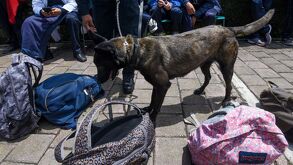 operativo mochila en escuelas de Puebla será sometido a consultas.