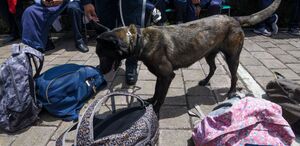 operativo mochila en escuelas de Puebla será sometido a consultas.
