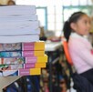 Se observa una niña desenfocada y unos libros; dentro de un salón de clases.