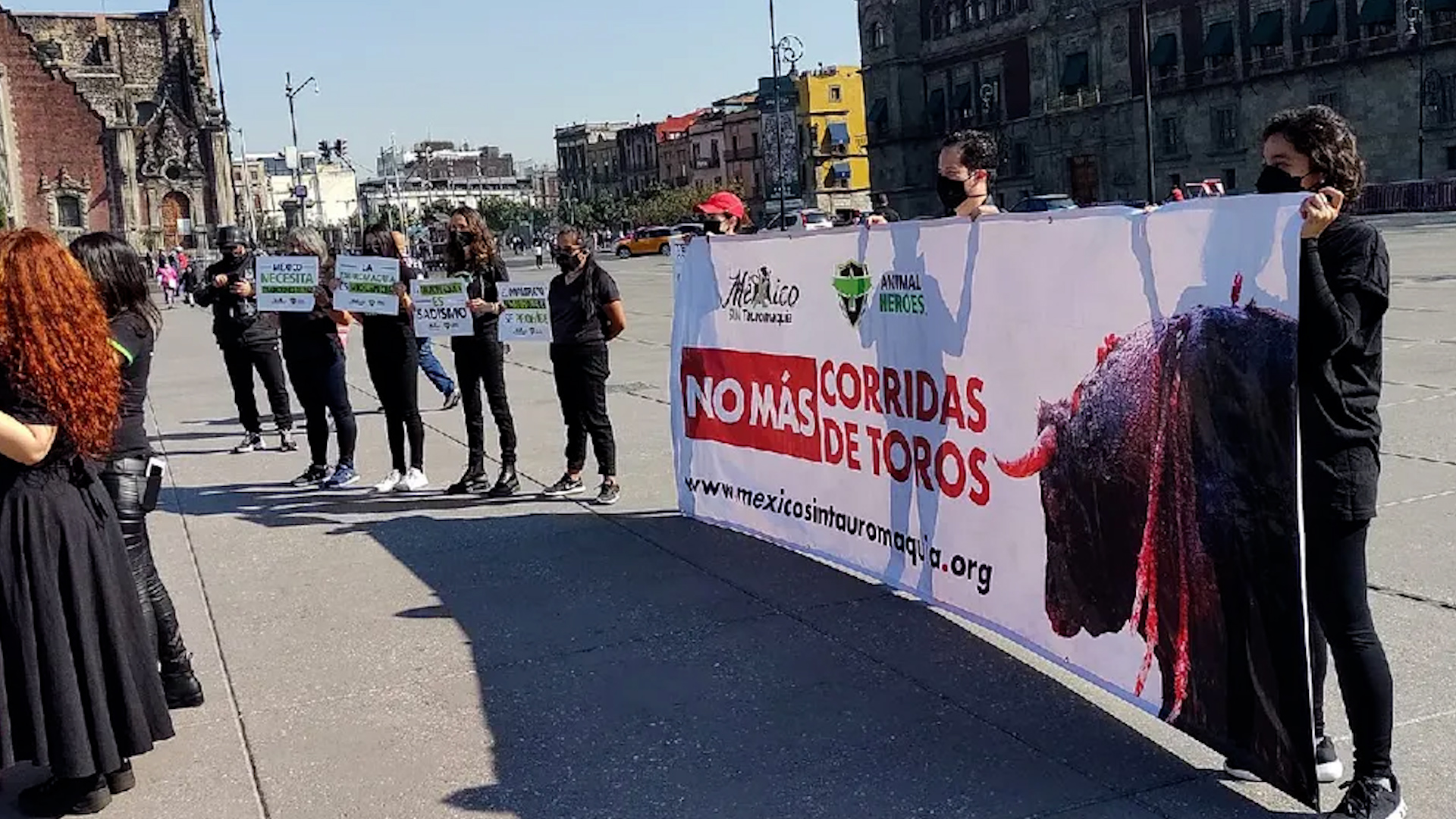 Grupos de animalistas y personas defensoras de los animales piden tomar acciones reales contra las corridas de toro.