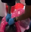 Agente la Policía de Investigación argentina con guantes colocados abriendo bolsas de residuos en una clínica donde se hallaron fetos humanos