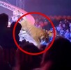 Tigre en un circo, encerrado en un círculo rojo, saltando sobre una malla de seguridad a la zona de platea con hombres, mujeres y niños sentados