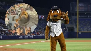 Momento exacto donde jugadores de Sultanes ayudan a la mascota del equipo.