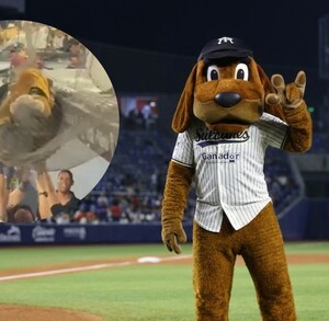 Momento exacto donde jugadores de Sultanes ayudan a la mascota del equipo.