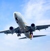 Piloto retiene avión en el AICM tras encerrarse en la cabina; activan protocolos de seguridad