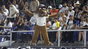 El Perro Sultán desde las gradas de el Walmart Park.