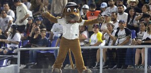 El Perro Sultán desde las gradas de el Walmart Park.