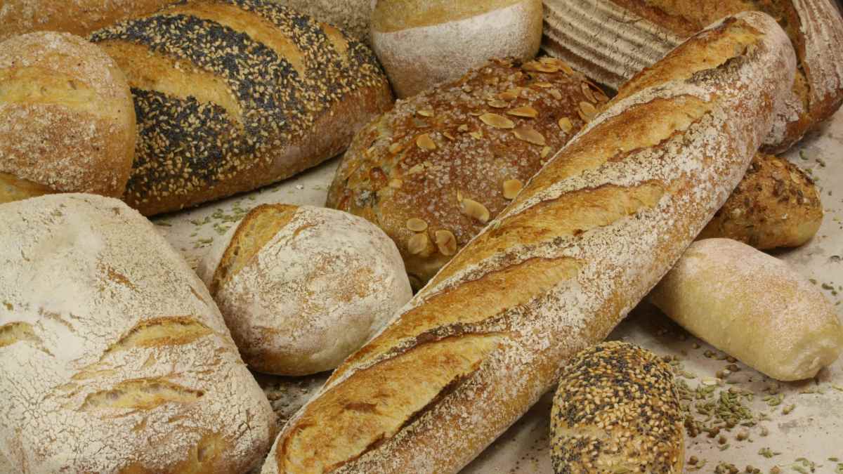 Diferentes tipos de pan