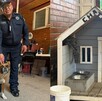 Perrita Chalco rescatada en el Palacio Municipal de Valle de Chalco