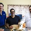 Gusano barrenador en mascotas en Nuevo León
