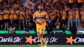 Joaquim Pereira se encuentra lesionado, por lo que desde la jornada 16 del Clausura 2026 en Liga MX no ha podido jugar con Tigres.