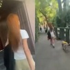 Una mujer salió a pasear a sus perros sin correa en la colonia Del Valle; lo que provocó un altercado entre mascotas.