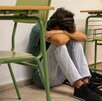 La menor logró ganar el juicio contra su primaria luego de ser agredida físicamente por uno de sus compañeros