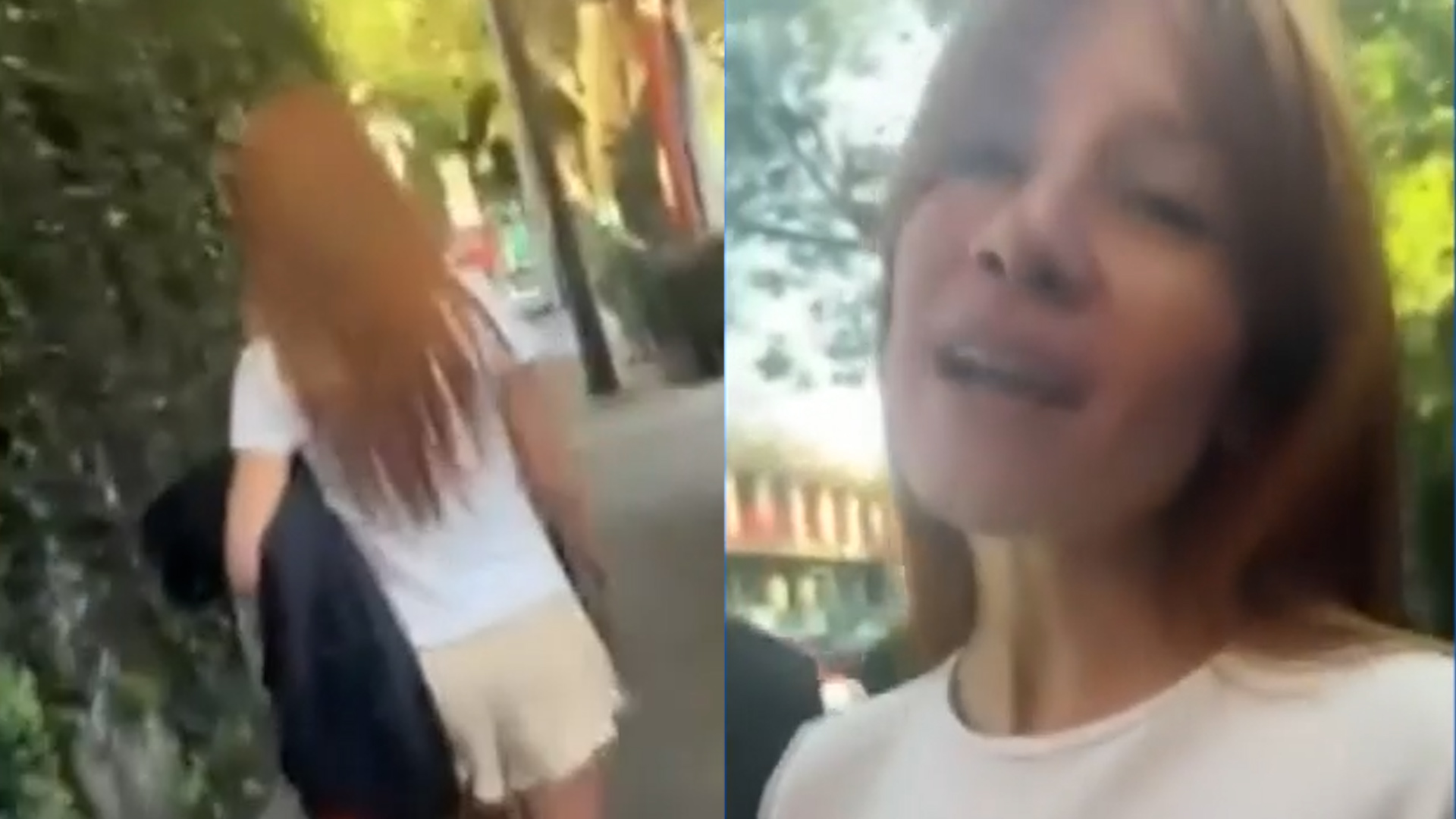 Conoce las multas de hasta $4,525 pesos por pasear perros sin correa en la CdMx tras el indignante caso viral en la colonia Del Valle.