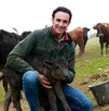 Torero Alberto Álvarez Navarro abrazando a un becerro en medio de un pastizal con vacas detrás