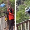 A la izquierda: Una mujer con una bandera en una tirolesa y un trabajador detrás sosteniendo una cuerda. A la derecha: la misma mujer cayendo de la tirolesa