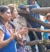 Dos mujeres fueron señaladas por contaminar un manantial y realizar presuntos rituales.