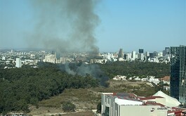 Parque colomos desde lejos