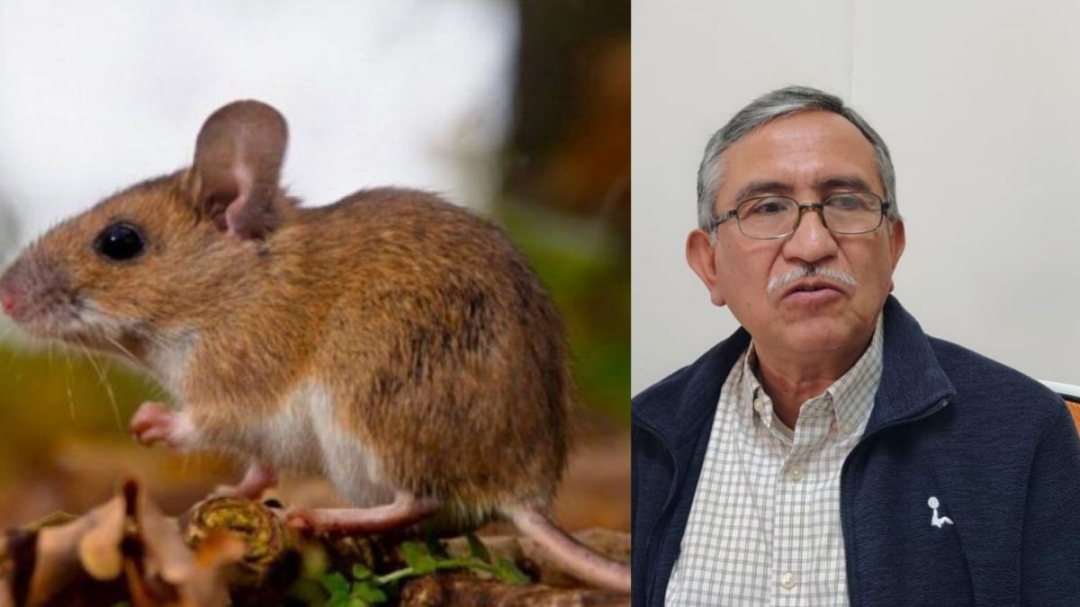 Humberto Flores, coordinador de Vigilancia Epidemiológica en la Jurisdicción Sanitaria número Seis en Torreón