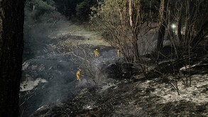 Bomberos de Zapopan y Jalisco apagando el incendio en Bosque Los Colomos rodeados de terreno y árboles calcinados