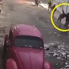 Personas en la vía pública agitando lanzando piedras hacia la parte alta de un edificio.