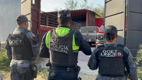 Descubren finca en Tonalá utilizada para el robo de vehículos. Autoridades recuperan cinco unidades robadas y equipo técnico. Conoce los detalles aquí.