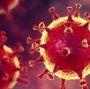 Bacterias de virus (foto archivo)