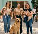 Si eres mamá de un perrito, este festival debe ser imperdible para ti y tu mascota, pasando un día lleno de increíbles experiencias.