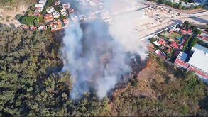 El IJCF investiga las causas del incendio en Los Colomos que afectó 5.2 hectáreas. Verónica Delgadillo confirma protección del arbolado y módulos de vigilancia.