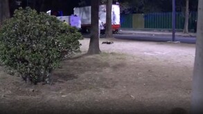 Autoridades investigan muerte de joven tras pasar tope sin pintar en San Juan de Aragón, GAM.