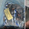 Autoridades desmantelan laboratorio en Zapopan que fabricaba 10,000 cápsulas diarias de 
