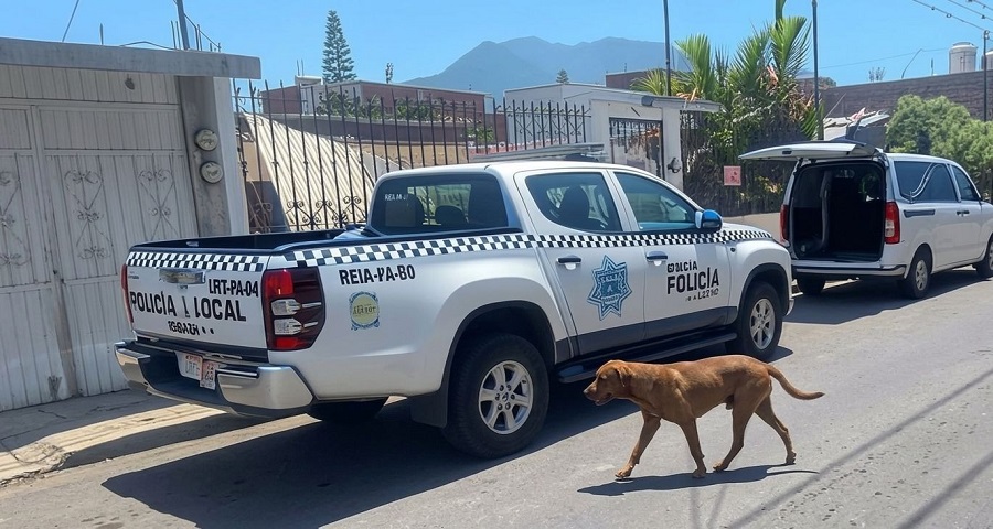 Un perro camina junto a una patrulla de policía y una carroza fúnebre, al exterior de una vivienda.