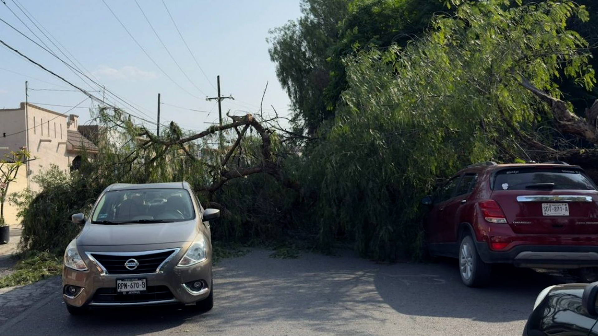 Un árbol cayó sobre un automóvil en San Nicolás donde viajaban dos niñas. Protección Civil rescató a las menores tras el fuerte accidente.